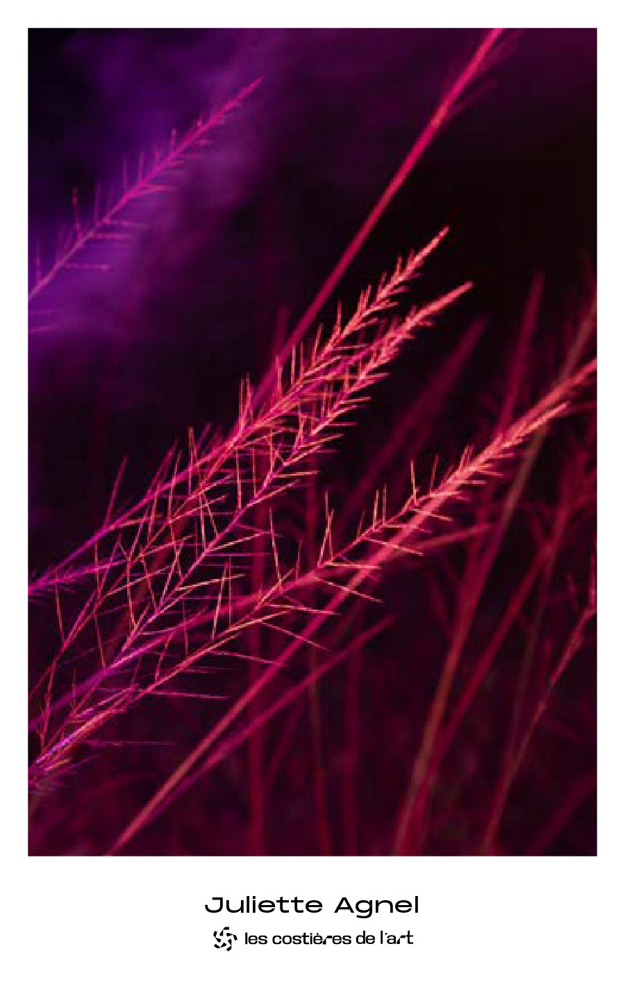 SLIDE_Juliette Agnel0