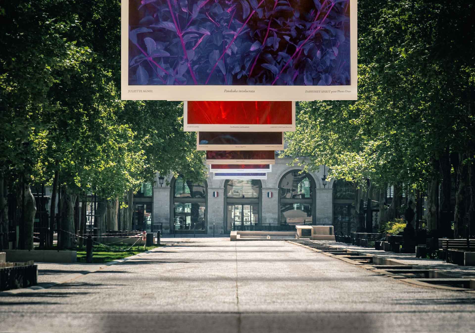 jardindesmysteres