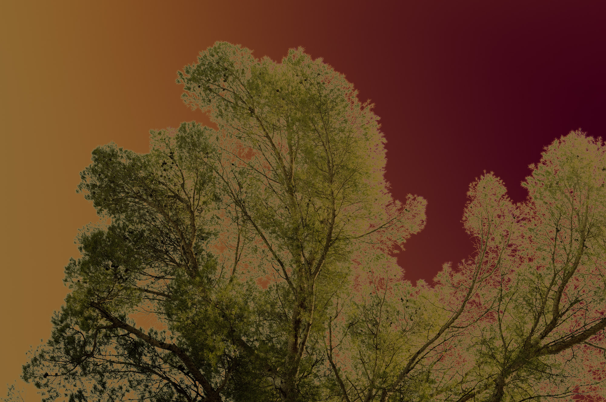 mr20250318_Costieres-Nimes_058-web